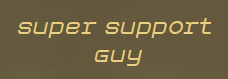 SuperSupportGuy